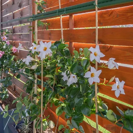 Apartamento Flowers Island House 3 *