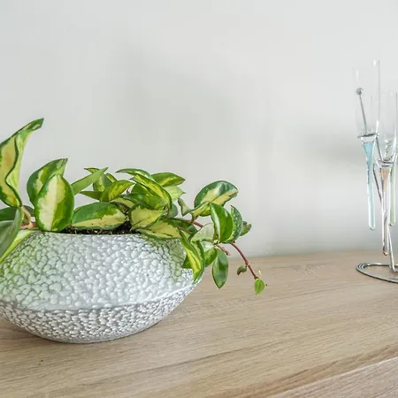 Flowers Island House 3 Апартаменты